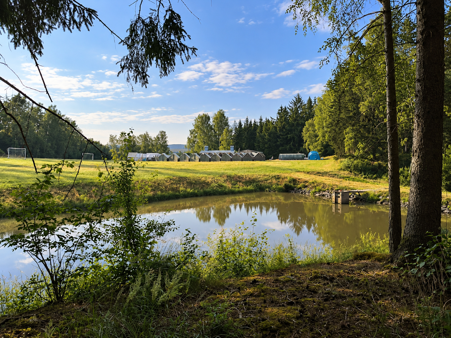 Rybník u lesa